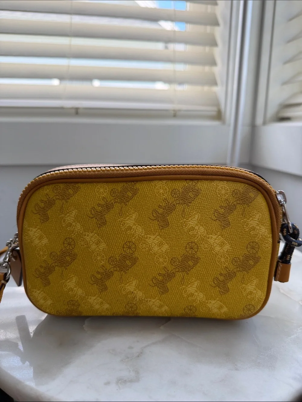 NWT Coach Crossbody Pouch